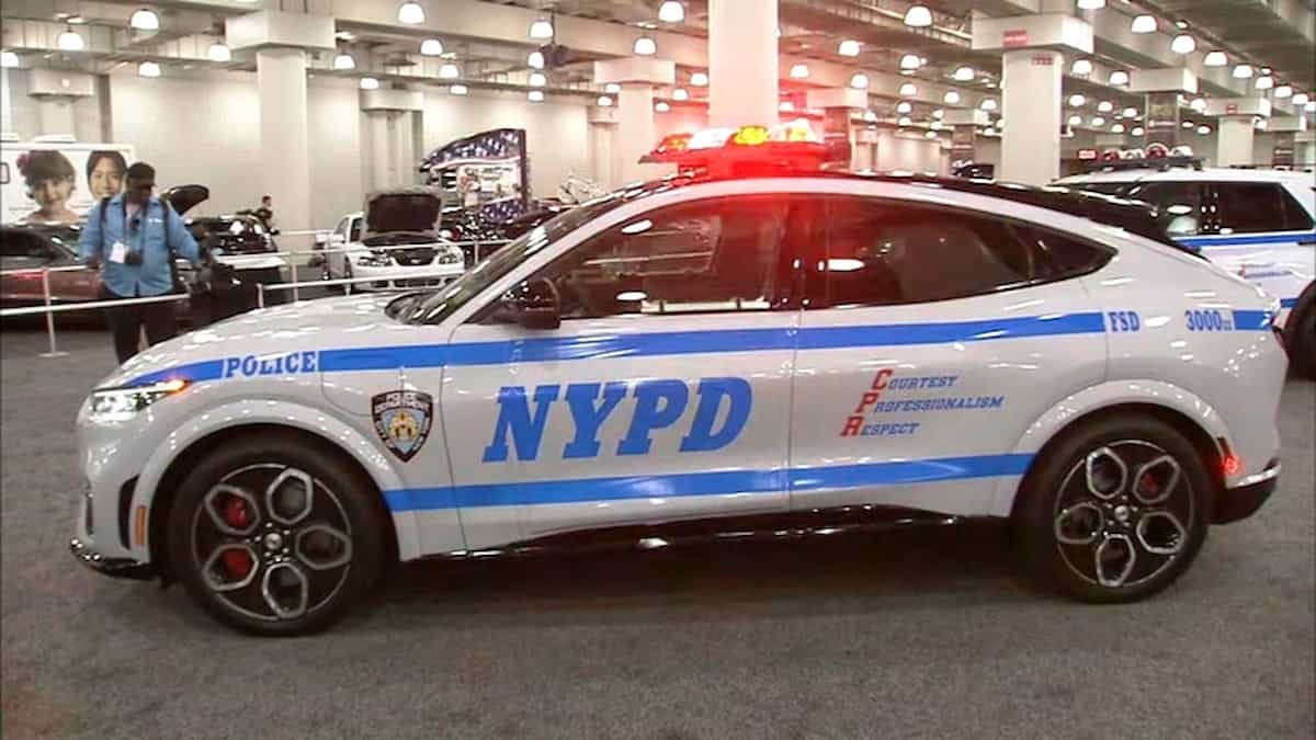 11749929 nypd electric