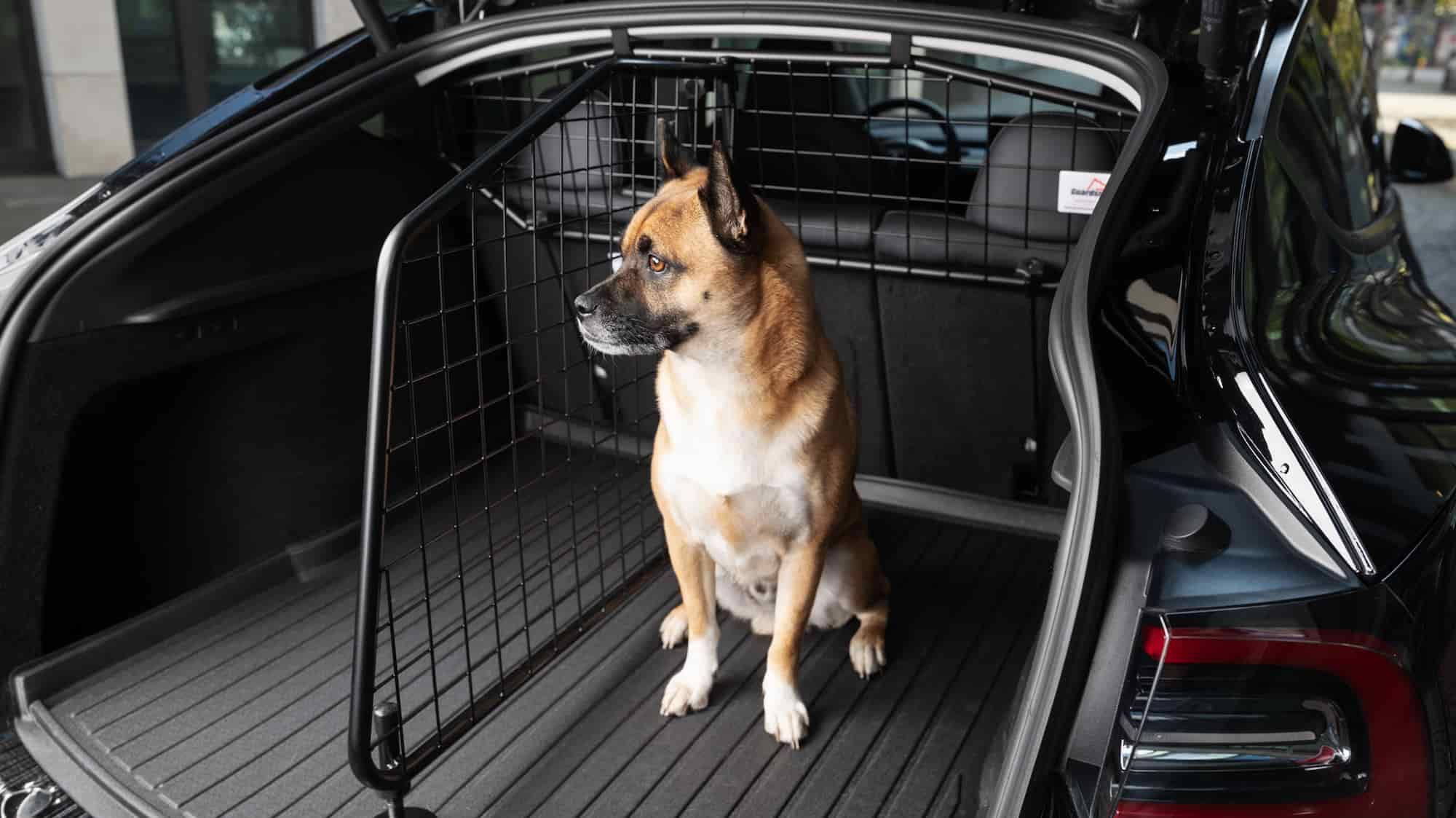 hundetrenngitter fur das tesla model y 556285 1