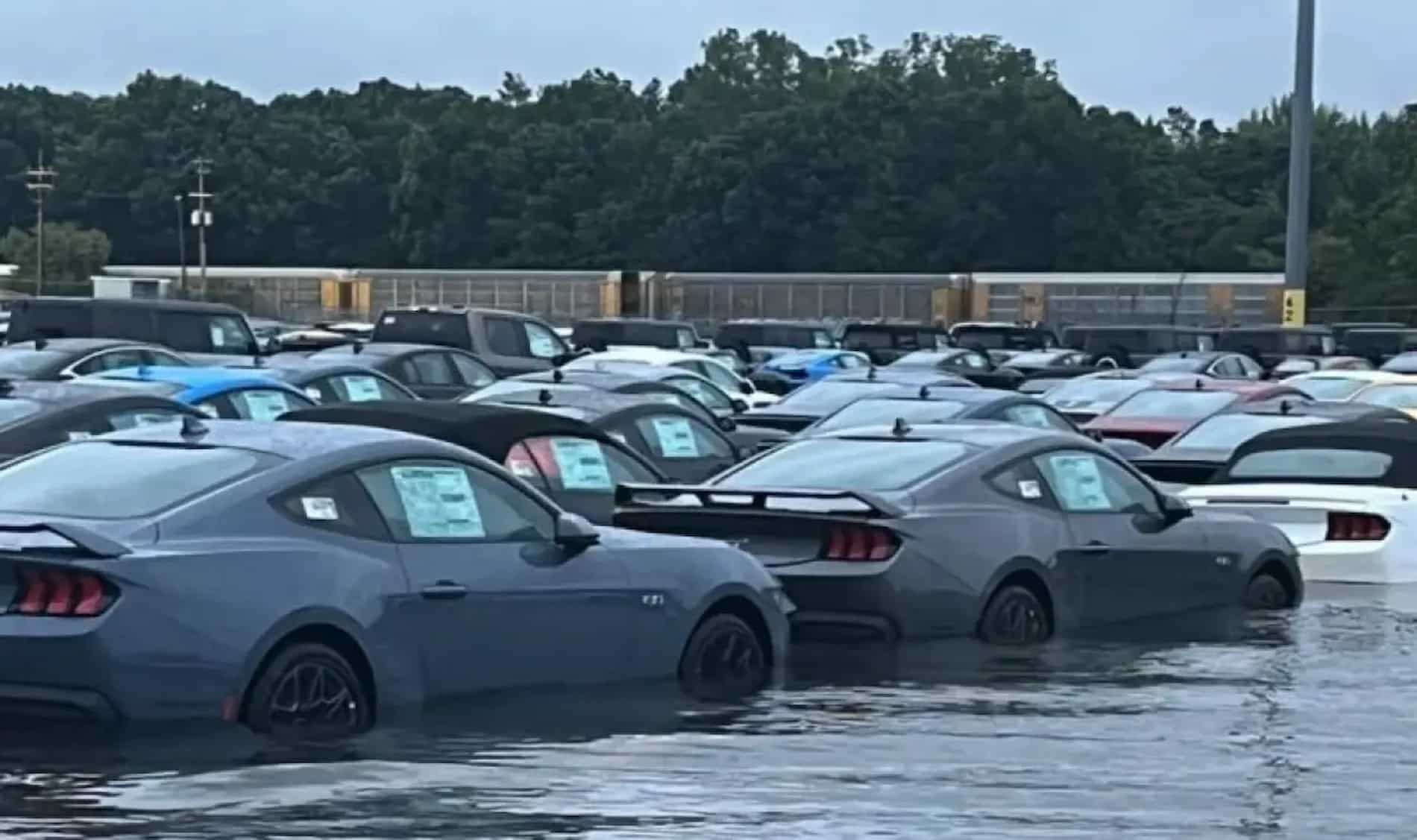 ford nameri novo prilojenie za udavenite mustang i 1