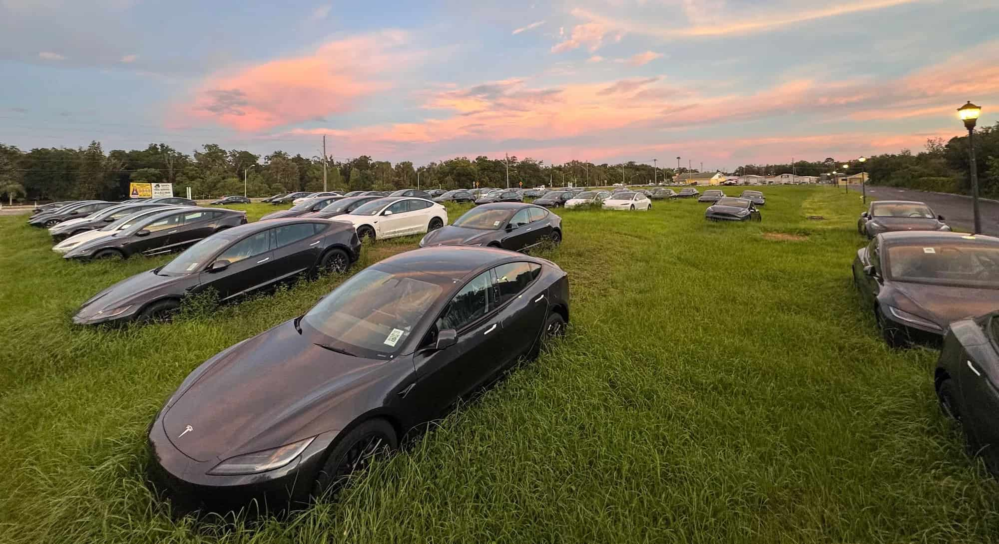 Tesla Model 3 Field